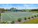A community basketball court featuring a green playing surface and a white backboard under a clear blue sky at 6127 164Th E Ave, Parrish, FL 34219