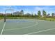 Community basketball court provides recreational opportunities with well-maintained green surface and hoops for friendly games at 6127 164Th E Ave, Parrish, FL 34219