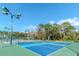 Vibrant pickleball courts offer an active lifestyle with well-lit facilities and lush landscaping for friendly competition at 9376 French Quarters Cir, Weeki Wachee, FL 34613
