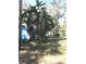 Green backyard featuring lush landscaping and trees surrounding a storage shed at 4905 Court St, Zephyrhills, FL 33541