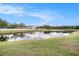 Scenic view of a tranquil pond reflecting the sky, surrounded by lush green grass and mature trees at 11414 Coconut Island Dr, Riverview, FL 33569