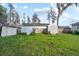 Large backyard with a chain link fence and several storage sheds for all of your storage needs at 19230 Lake Allen Rd, Lutz, FL 33558