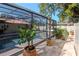 View of pool, patio and greenery from backyard with mature landscaping in the background at 220 Garden S Cir, Dunedin, FL 34698