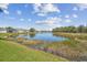 Scenic view of a tranquil pond surrounded by lush greenery and blue skies in a residential community at 31101 Wrencrest Dr, Wesley Chapel, FL 33543