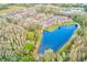 Aerial view of homes near a tranquil pond surrounded by trees at 31229 Claridge Pl, Wesley Chapel, FL 33543