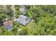 Aerial view of the home, showcasing its backyard, pool, and surrounding greenery at 4520 Pine Hollow Dr, Tampa, FL 33624