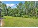 Lush green backyard offering plenty of space for outdoor activities and relaxation at 4520 Pine Hollow Dr, Tampa, FL 33624