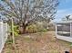 Large backyard featuring mature trees and a peaceful setting at 5337 Treig Ln, Wesley Chapel, FL 33545