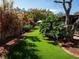 A lush backyard with plenty of space for outdoor activities at 1363 Overlea Dr, Dunedin, FL 34698