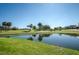 Scenic pond with lush green grass, palm trees, and a clear blue sky at 15702 Muirfield Dr, Odessa, FL 33556