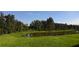 Lush backyard featuring a serene pond surrounded by mature trees and green grass at 17126 James Trl, Parrish, FL 34219