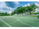 Outdoor basketball court featuring green surface, white lines, and lighting for evening games at 18186 Sandy Pointe Dr, Tampa, FL 33647