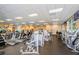 Well-equipped gym featuring modern machines, large windows, and televisions for an enhanced workout experience at 18186 Sandy Pointe Dr, Tampa, FL 33647
