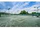 Well-maintained tennis courts with green surfaces and lighting, surrounded by lush greenery at 18186 Sandy Pointe Dr, Tampa, FL 33647