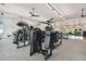 Well-equipped gym featuring a variety of modern weight training machines at 4228 Isonzo Way, Wesley Chapel, FL 33543