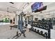 Spacious gym featuring weight training equipment and mirrored walls and TV at 4228 Isonzo Way, Wesley Chapel, FL 33543