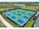 The pickleball courts feature green and blue playing surfaces, surrounded by a black fence and lush landscaping at 4228 Isonzo Way, Wesley Chapel, FL 33543