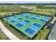 An aerial shot of the community's pickleball courts, featuring multiple blue courts and lush landscaping at 4228 Isonzo Way, Wesley Chapel, FL 33543