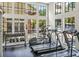 Bright fitness center with treadmills, weights, and large windows overlooking outdoor area at 8659 Fancy Finch Dr # 202, Tampa, FL 33614