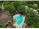Aerial view of the community pool and lounge area surrounded by lush green trees at 8659 Fancy Finch Dr # 202, Tampa, FL 33614