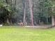 Backyard with deer in the trees and a green lawn at 13381 Glory Ln, Brooksville, FL 34614