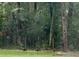 Backyard featuring turkeys grazing in a green, well-maintained lawn in a wooded area at 13381 Glory Ln, Brooksville, FL 34614