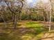 Lush, green backyard surrounded by mature trees creating a private and serene outdoor space at 13381 Glory Ln, Brooksville, FL 34614