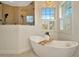 Well-appointed bathroom featuring a soaking tub, walk-in shower, and stylish finishes at 536 Ontario Ave, Crystal Beach, FL 34681