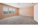 Large main bedroom with plush carpet and ample natural light at 11549 Tangle Branch Ln, Gibsonton, FL 33534