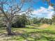 Expansive backyard featuring mature trees and lush green space, perfect for outdoor activities at 19724 Fort King Run, Brooksville, FL 34601