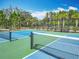 Pickleball courts surrounded by mature landscaping and fencing in a well-maintained community at 19724 Fort King Run, Brooksville, FL 34601