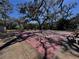 Community shuffleboard court with trees at 2630 Pearce Dr # 107, Clearwater, FL 33764
