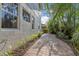 Brick walkway beside the house showcasing lush landscaping at 2910 Sunrise Dr, Clearwater, FL 33759