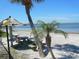 Beautiful beach with palm trees, a picnic area, and calm water, creating a serene outdoor setting at 3600 42Nd S St # 52B, St Petersburg, FL 33711