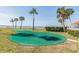 Scenic putting green near the water, framed by palm trees and lush landscaping at 3600 42Nd S St # 52B, St Petersburg, FL 33711