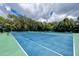 Vibrant blue tennis court surrounded by lush trees at 3600 42Nd S St # 52B, St Petersburg, FL 33711