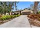 Long concrete driveway leading up to a beautiful home with mature trees and lush landscaping at 365 Mayfair E Cir, Palm Harbor, FL 34683