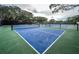 Community pickleball courts with well-maintained grounds at 36750 Us Highway 19 N # 6-214, Palm Harbor, FL 34684