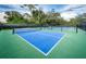 Outdoor pickleball courts surrounded by lush greenery at 36750 Us Highway 19 N # 6-214, Palm Harbor, FL 34684