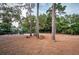 Community playground area with mature trees at 36750 Us Highway 19 N # 6-214, Palm Harbor, FL 34684