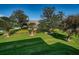 Beautifully landscaped yard with manicured lawn, trees, and well-maintained hedges at 36750 Us Highway 19 N # 6-214, Palm Harbor, FL 34684