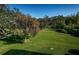 Lush green yard with mature trees, offering a serene and natural outdoor space at 36750 Us Highway 19 N # 6-214, Palm Harbor, FL 34684