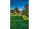 Beautifully landscaped yard with manicured lawn, trees, and well-maintained hedges at 36750 Us Highway 19 N # 6-214, Palm Harbor, FL 34684