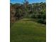Expansive green yard with mature trees offering shade and privacy at 36750 Us Highway 19 N # 6-214, Palm Harbor, FL 34684