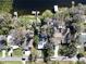 Aerial view features rooftops of homes with docks, nestled among mature trees, creating a private lake community at 5704 Half Moon Lake Rd, Tampa, FL 33625