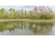 Scenic view of a pond surrounded by lush greenery and trees on a cloudy day at 10011 Tranquility Way, Tampa, FL 33625