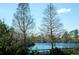 A view of the lake with trees and native plants at 18521 Bittern Ave, Lutz, FL 33558