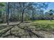 Large, well-maintained backyard with lush green grass and scattered mature trees for shade and privacy at 2075 Warwick Dr, Oldsmar, FL 34677