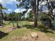Large, fenced backyard with mature trees provides privacy and space to roam at 7425 Riverbank Dr, New Port Richey, FL 34655