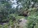 Lush, natural ravine offers a serene and verdant view at 7425 Riverbank Dr, New Port Richey, FL 34655